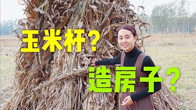 大婷生活日记