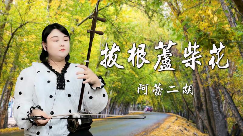 阿蕾二胡独奏拔根芦柴花用d调15弦演奏江南小调很有韵味