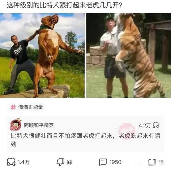 女生对男生吐舌头图片