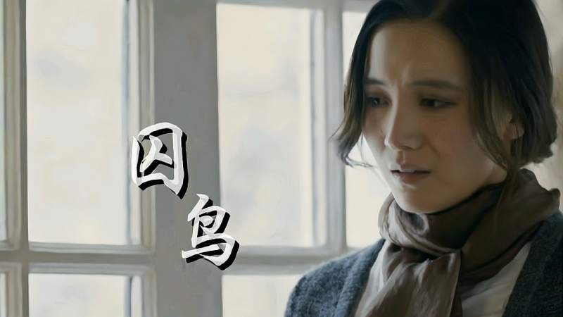 彭羚《囚鸟》我像你一个可有可无的影子,音乐,流行音乐,好看视频