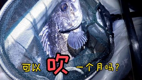 防波堤穴钓 钓友的钓组 剖析一下穴钓钓组的原理有什么猫腻 体育 钓鱼 好看视频