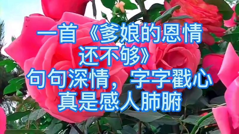 一首爹娘的恩情还不够句句深情字字戳心真是感人肺腑