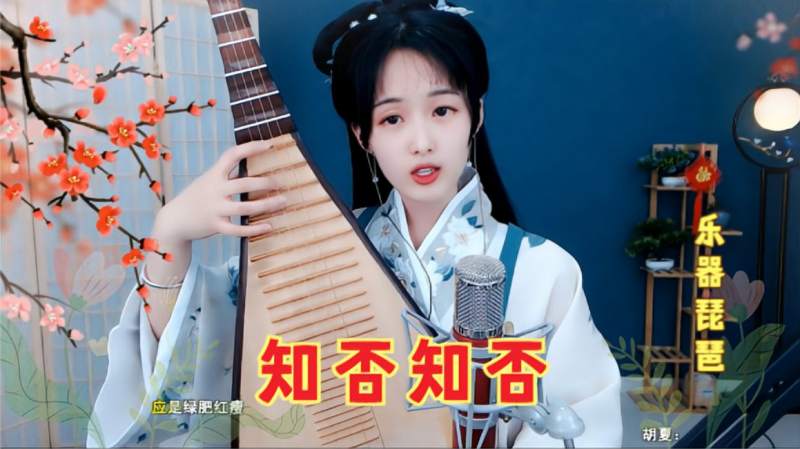 小关雎一首琵琶弹唱知否知否应是绿肥红瘦歌声优美动听