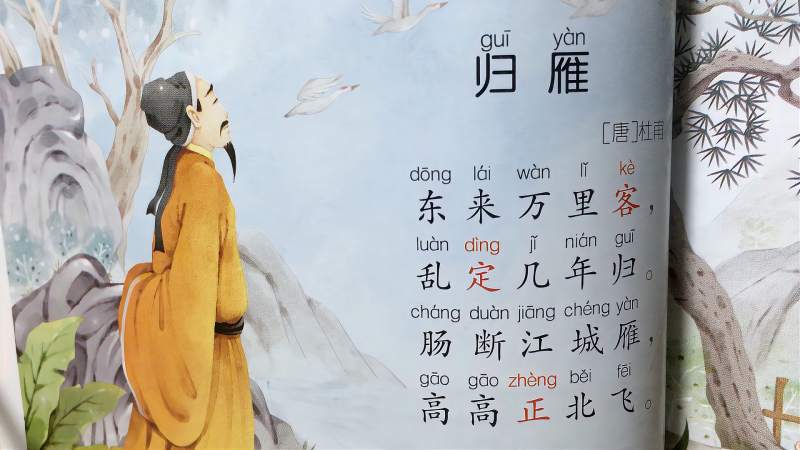 dora演读古诗杜甫归雁她演大雁说杜甫你好可怜呀