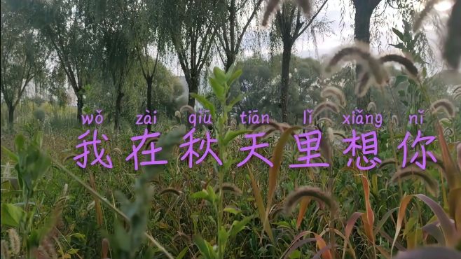 [图]榆林秋天好美吆，我在秋天里想你了，好歌