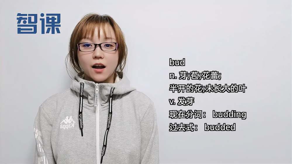 花蕾的英语怎么说 百度