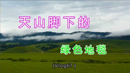 Minecraft 我的世界 1 14 1 15 地毯复制机无限刷地毯机 任意方向 任意位置 都能100 成功复制 好看视频 Minecraft 我的世界 1 14 1 15 地毯复制机无限刷地毯机 任意方向 任意位置 都能100 成功复制 好看视频