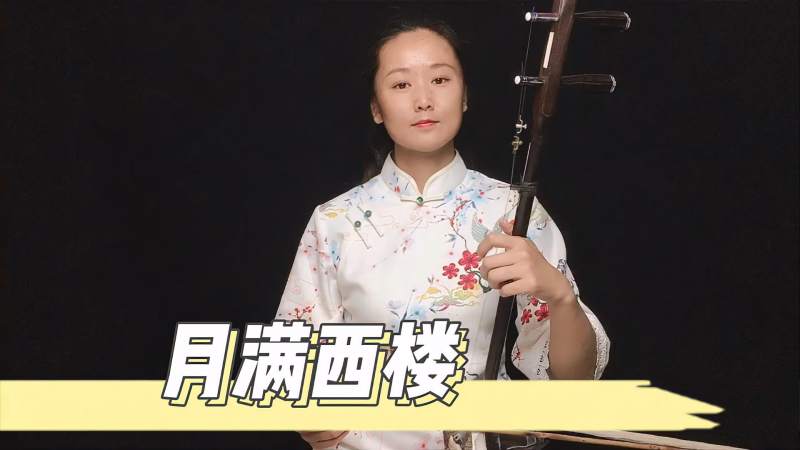 雁字回时月满西楼花自飘零水自流二胡演奏李清照的唯美诗词