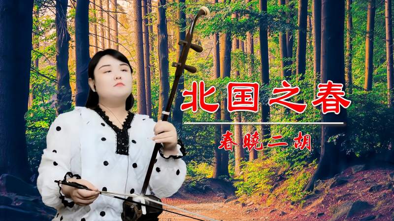 这首日本民歌《北国之春》二胡演奏真不错,音乐,器乐,好看视频