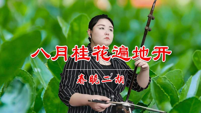 春晓二胡八月桂花遍地开曲声唯美动听好像把我带进了花海