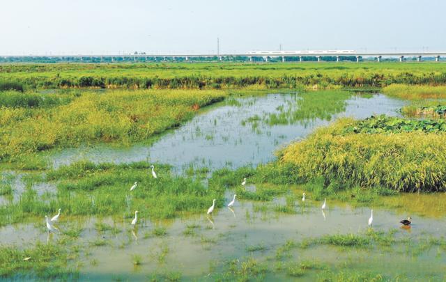 袒护行使湿地增进可赓续发达（观念）(图1)