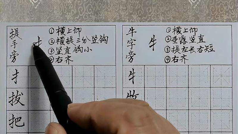 王永成硬笔书法公益课堂偏旁部首8提手旁和牛字旁的写法
