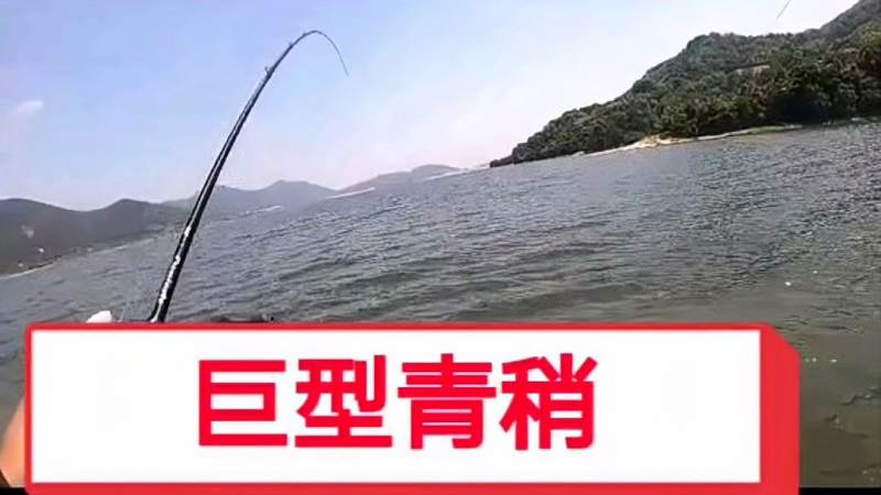 路亚十几年钓过最大的青稍4.5斤。全网有没有比这更大的啊,体育,钓鱼,好看视频