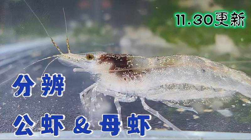 以ftp开头的网址怎么打开 知乎