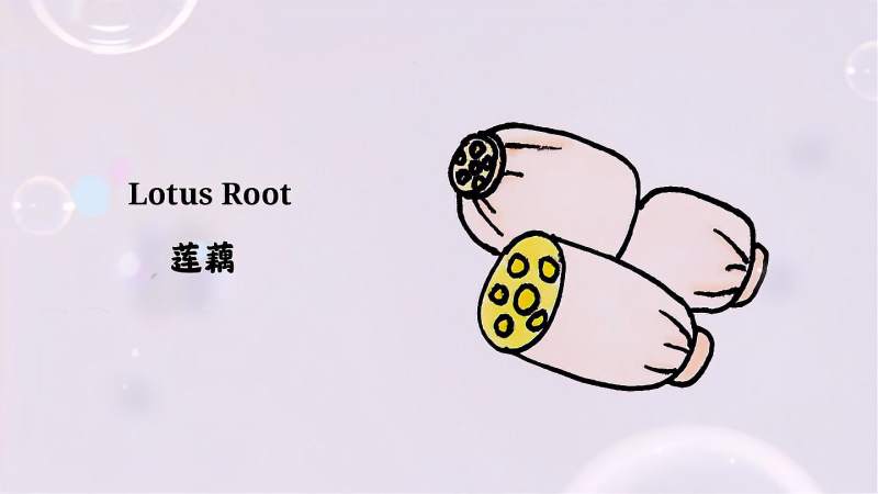 看起来好好吃的莲藕怎么画儿童蔬菜简笔画卡通美食手绘图片