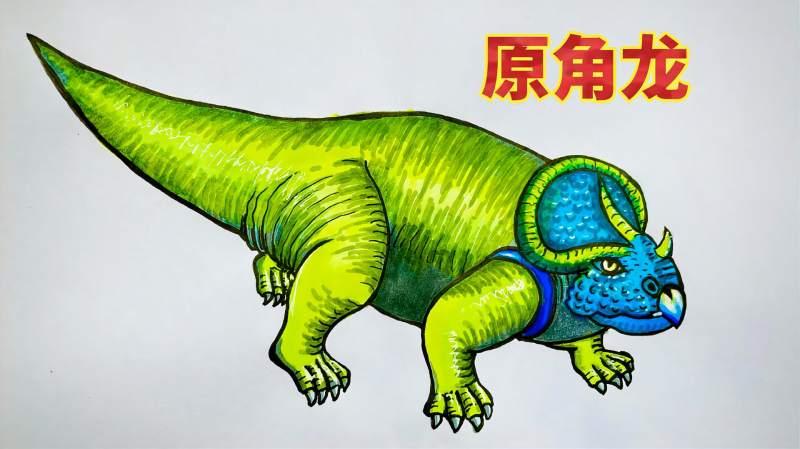 恐龙简笔画原角龙的画法