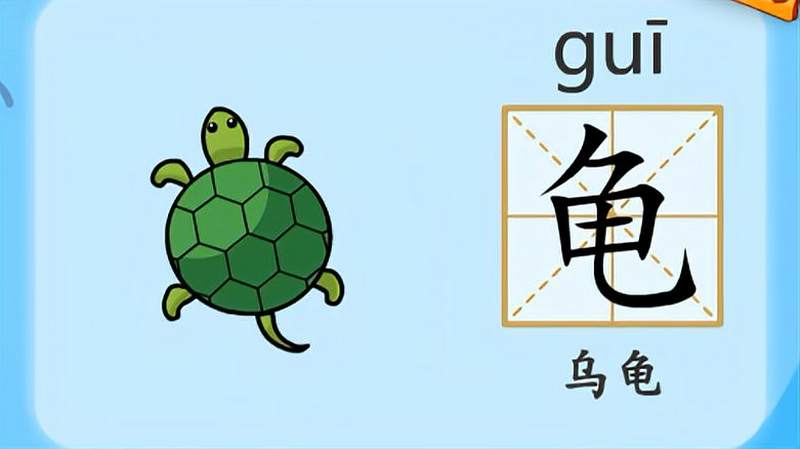 亲宝识字:学习汉字龟的拼音组词笔画笔顺写法,母婴育儿,早期教育,好看视频