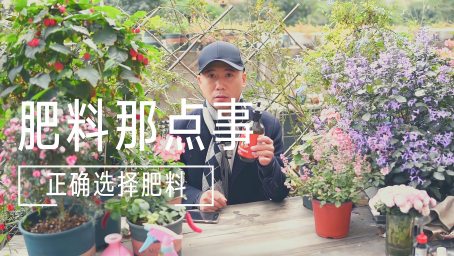 养花选土很重要 了解有机土和无机土的区别 施肥事半功倍 家居 园艺 好看视频