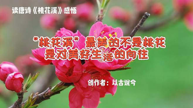 [图]读唐诗《桃花溪》感悟