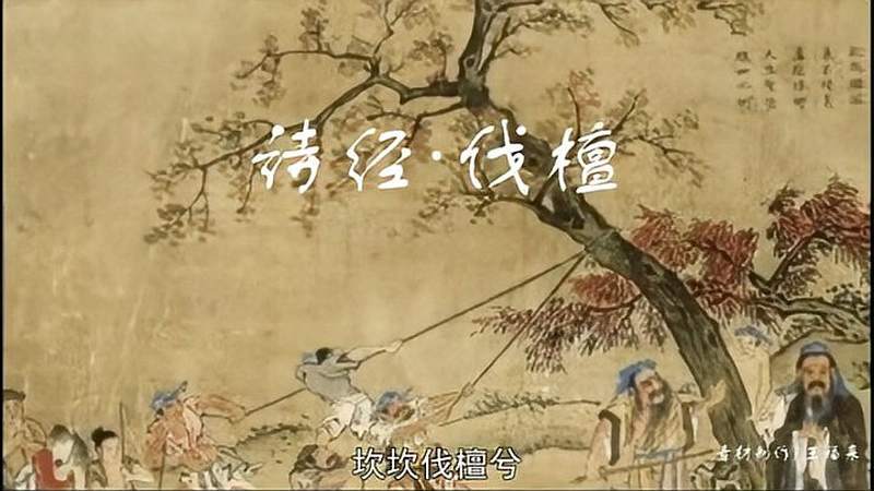 《诗经-伐檀》作者：佚名（先秦）诵读：舜禧,文化,艺术,好看视频