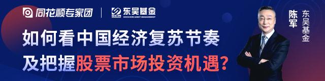 专访东吴基金常务副总裁陈军(上)