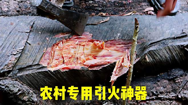 [图]这种木头俗称“松明”，江西农村引火做饭全靠它了，有认识的吗？