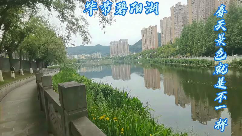 贵州毕节碧阳湖,周围环境太好了,在湖边漫步简直就
