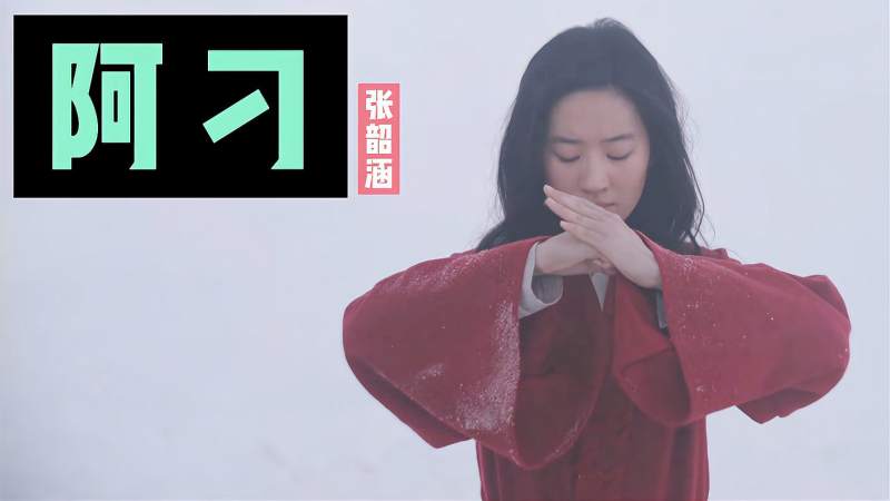 全网数十亿次播放的《阿刁》赵雷唱阿刁 张韶涵把自己当成阿刁,音乐,流行音乐,好看视频