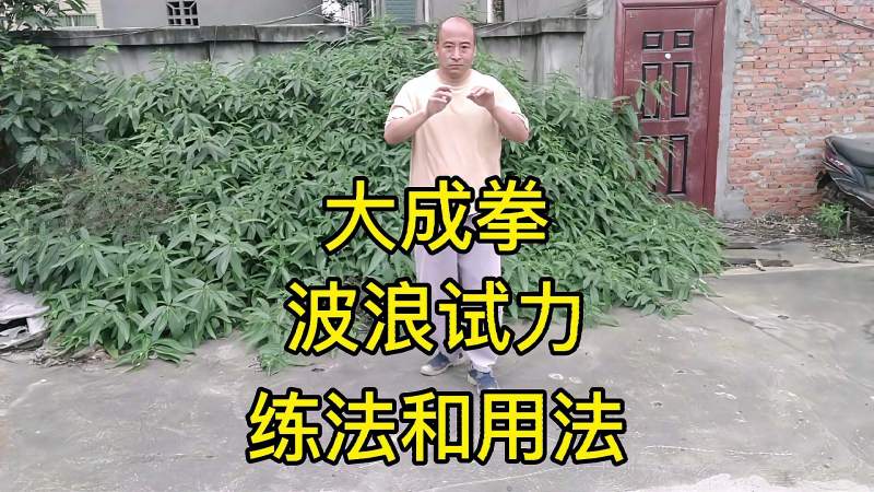 大成拳波浪试力练法和用法,体育,武术,好看视频