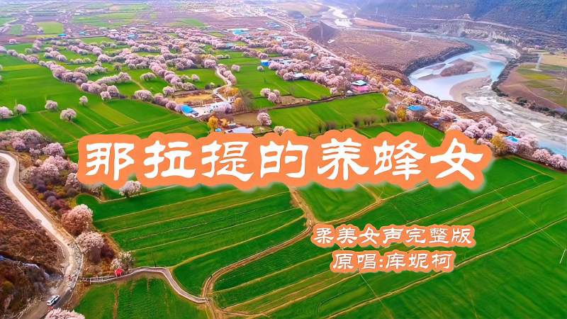 那拉提的养蜂女和声完整版 那拉提的养蜂女合唱版本是谁唱的
