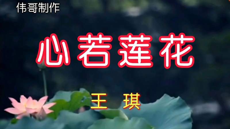 王琪心若莲花歌曲婉转优美旋律令人心醉好听至极