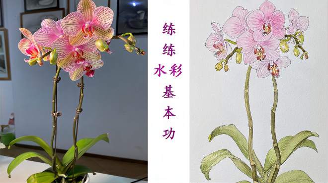 绘生绘色文化艺术 好看视频 绘生绘色文化艺术 好看视频