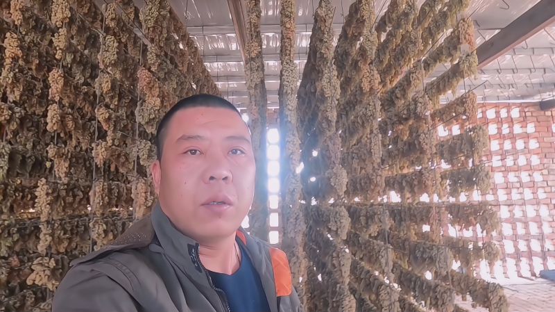 带你看吐鲁番的葡萄干晾房,挂满葡萄干的晾房,看着就舒服,三农,农民生活,好看视频