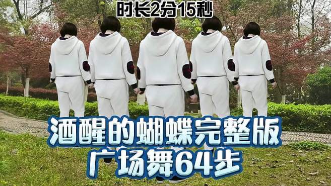 [图]广场舞《酒醒的蝴蝶》64步，简单步子舞，赶紧收藏学起来