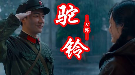 刀郎一首《驼铃》那种青春的「芳华」永铭记.向战友同胞们致敬!