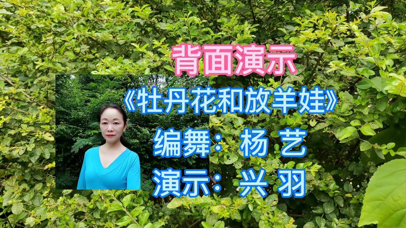 背面演示牡丹花和放羊娃歌声悠扬感人舞姿柔美大方舒展流畅