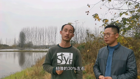 虾蟹养殖启示 水草环境差不要谈产量 多数虾农成也水草败也水草 好看视频