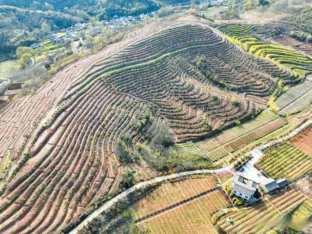 「乡村振兴」湖北房县:多举措抓好春季农业生产