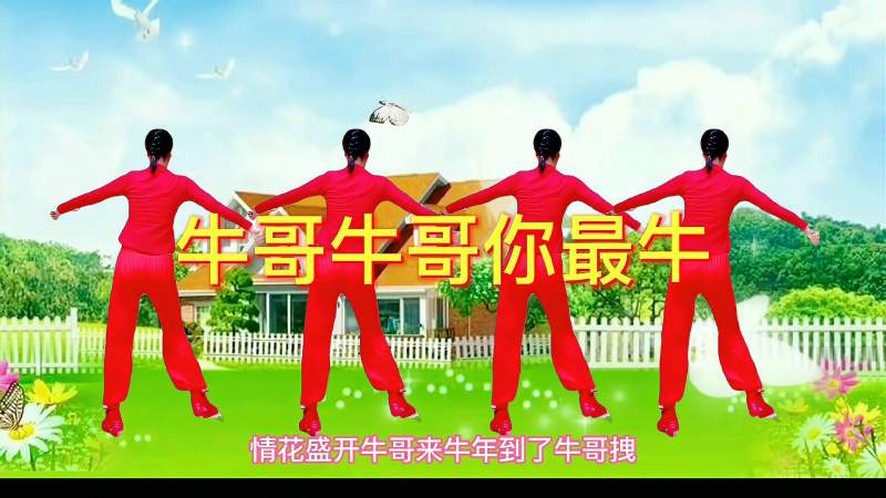 听歌赏舞网络红歌牛哥牛哥你最牛64步广场舞牛年火了
