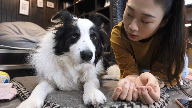 西卡船长吖