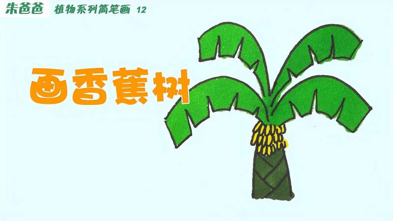 朱爸爸植物系列简笔画12画香蕉树