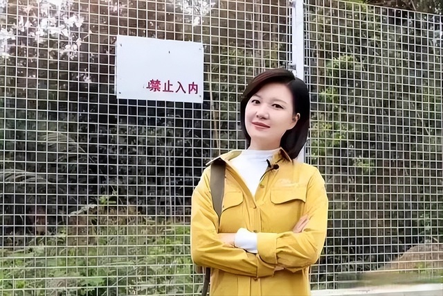 上海电视台主持人女图片