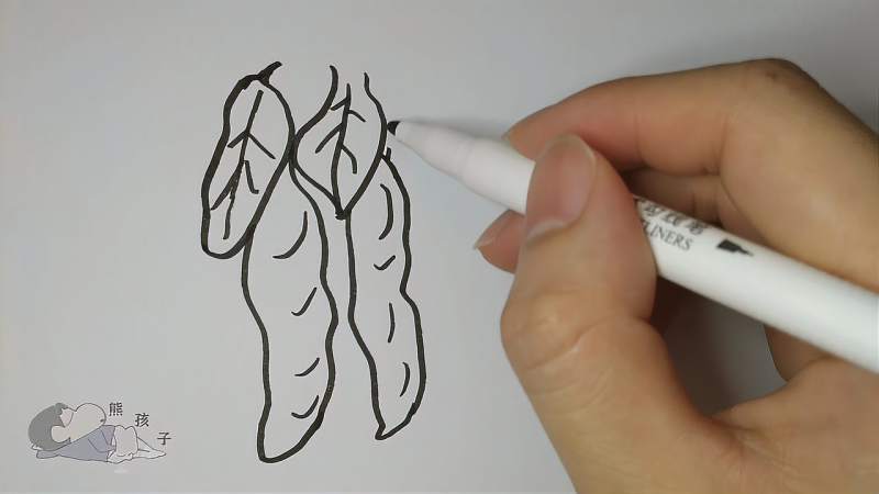 简笔画四季豆