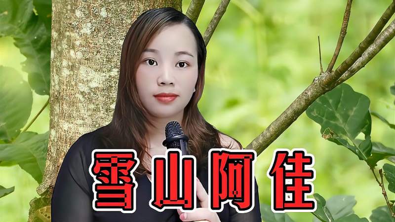 一首民谣情歌雪山阿佳经典好听仿佛走进草原听得如痴如醉