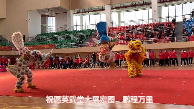 [图]实拍广东湛江雷州特色醒狮精彩表演，狮王发威火光四射，震撼全场