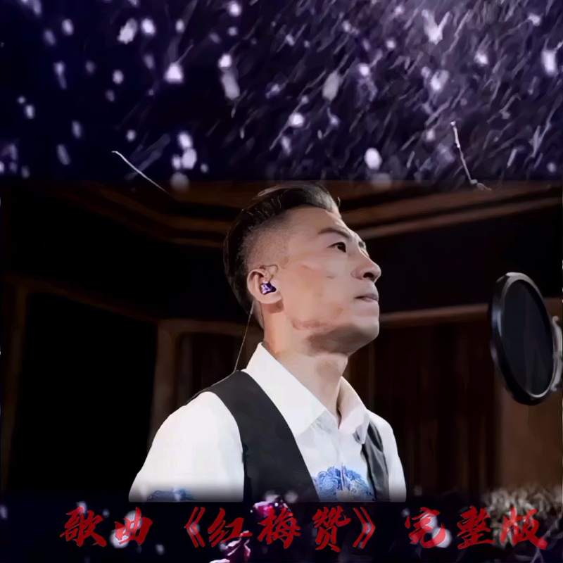 毕宏伟演唱的《红梅赞》,音乐,流行音乐,好看视频