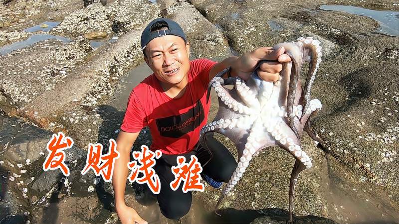 阿灶顶着烈日赶海发现大鲨鱼被困浅滩一条卖500元爆赚了