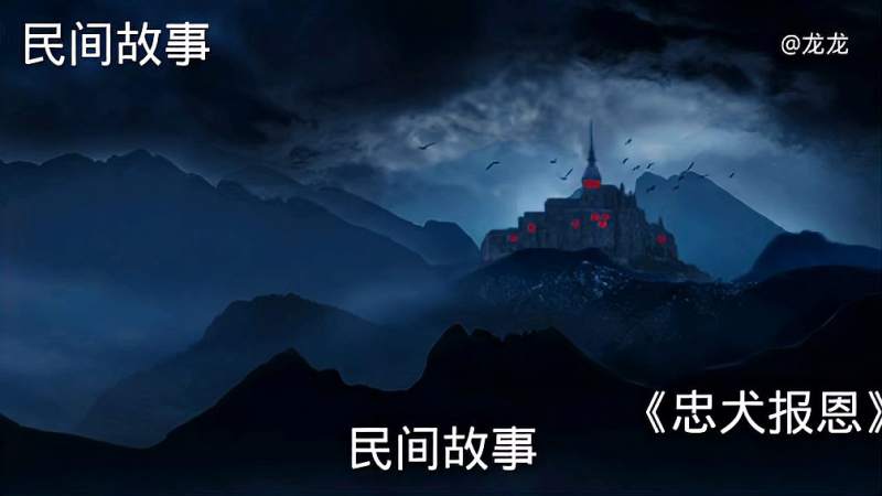 龙龙奇闻怪谈民间故事忠犬报恩