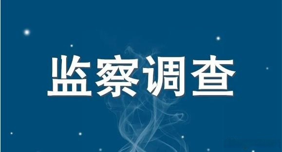 湖北省教育投资有限公司监事周清接受监察调查