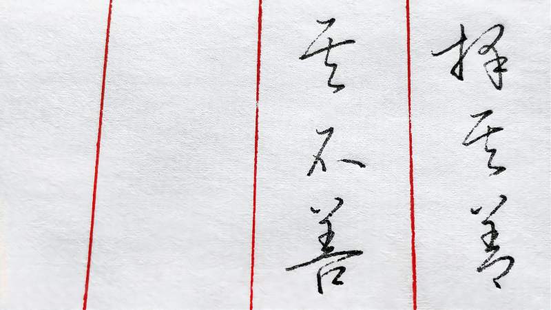 “择其善者而从之,其不善者而改之”,草书写法你喜欢吗?,文化,艺术,好看视频